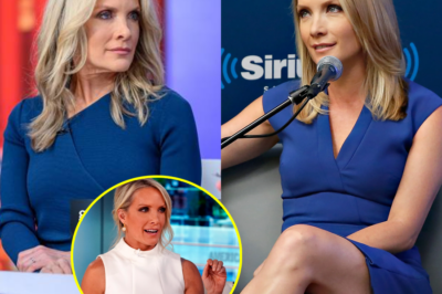 Dana Perino of Fox News wants viewers to know who to blame if she is fired, saying, “That individual keeps bothering me nonstop…”