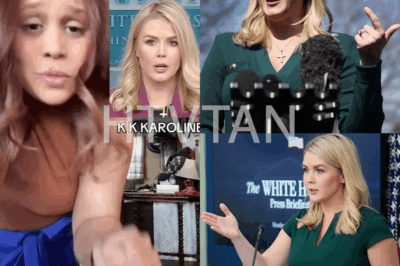 HURTFUL WORDS Karoline Leavitt targeted by sick new social media campaign using insulting lyrics as trolls claim song predicted future