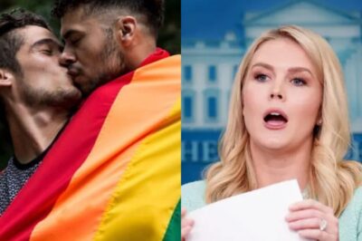 BREAKING : Karoline Leavitt announces boycott of Pride Month: “Pride is not about celebration — it’s about being sober and boycotting the culture that’s being imposed on our children.”