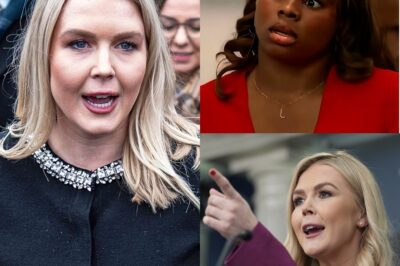 Karoline Leavitt Just Humiliated a Reporter Over the LA Riot Lies — And the Room Hasn’t Recovered Since