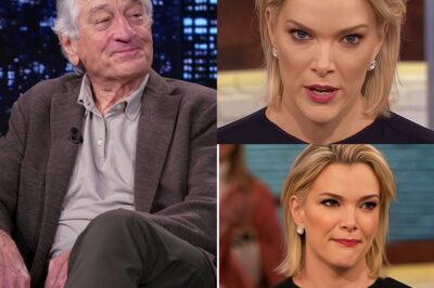 LS ‘I Don’t Care What You Think of Me — Robert De Niro Silences Megyn Kelly Live On Air With Eight Words That Changed the Room, the Ratings, and the Power Dynamic’