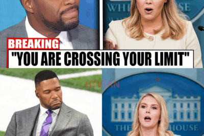 “Karoline Leavitt Shuts Down Cocky Ex-NFL Star With Brutal Clapback on Live TV – ‘You Picked The Wrong Woman’”