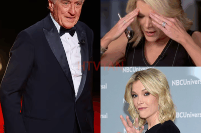 Robert De Niro Silences Megyn Kelly Live On Air With Eight Chilling Words—Fans Say They’ve Never Seen Her So Speechless