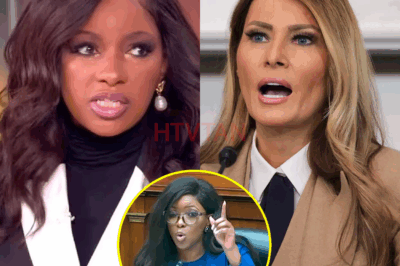 BREAKING: Democratic Star Congresswoman Goes After MAGA First Lady for Coming to America on an “Einstein Visa” Despite No Real Achievements