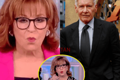 “Harrison Ford Kicked Off The View After Explosive Clash with Joy Behar – ‘You’re Out of Line!’”
