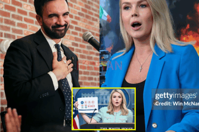 BREAKING: Press Secretary Makes Shocking Remark, Calls for Investigation After Lawmaker Demands Denaturalization and Deportation