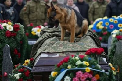 The German shepherd barked at the coffin of its deceased owner. Opening the lid, people screamed in horror…….