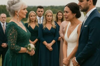 Groom’s Mother Accused of Ruining Wedding with Her “Inappropriate” Dress — But Was She Really to Blame?