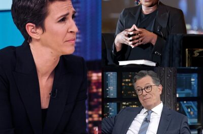 “NO BOSSES. NO SCRIPTS. JUST TRUTH — RACHEL MADDOW’S ROGUE NEWSROOM HAS ARRIVED 🎤⚡” It didn’t come with a press tour. No corporate rollout. No contracts leaked to the trades. It came quietly… then hit like a bomb. Maddow, Colbert, and Reid have launched a news experiment unlike anything we’ve seen — and it’s already shaking the foundations of cable media. Their promise? Honest reporting. Satire with teeth. Investigations no one else will touch. And most of all: a direct connection with viewers — not shareholders.