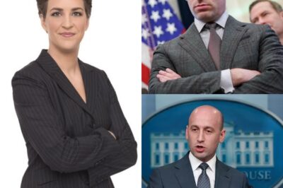 “I Don’t Debate Monsters. I Expose Them.” — Rachel Maddow’s On-Air Takedown Leaves Stephen Miller Shattered and Washington Reeling