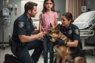 The little girl cried and told her mother, “He promised he wouldn’t hurt.” The mother took her to the hospital, then the police dog discovered the shocking truth…