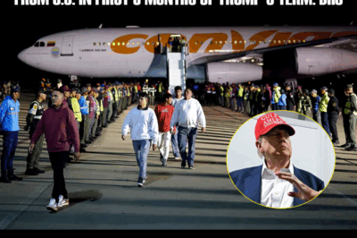 Trump admin reports 2 million illegal aliens ‘removed or self-deported’ from US in first 8 months