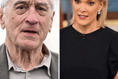 Eight words. That’s all it took for Robert De Niro to flip a live studio upside down