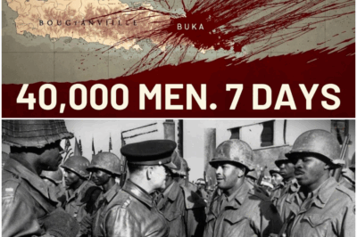 The Green Tomb of Bougainville: How the US Erased 40,000 Japanese Soldiers From the War Map Without Firing a Shot on the Ground