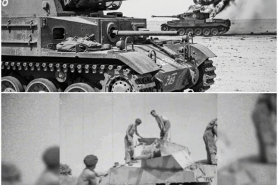 They Mocked His ‘Enemy’ Rifle — Until He Killed 33 Nazi Snipers in 7 Days