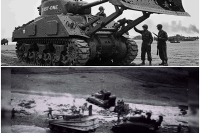 They Called It ‘Suicide Mission’ — Until He Beat 20,000 German Bullets Like Saturday Afternoon