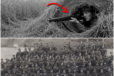 How One Farm Kid’s “Hay Bale Ambush” Captured 34 German Soldiers
