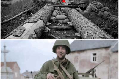 They Banned His Forest Floor Sniper Hide — Until It Took Down 18 Germans